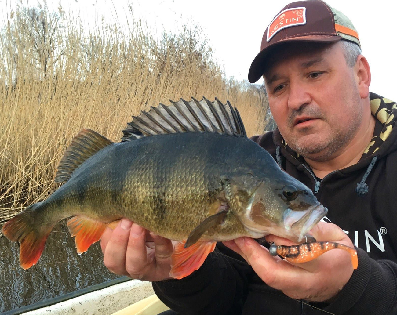 Westin W4 Finesse Shad 2nd 7'6''/225cm MH 12-38g 2sec